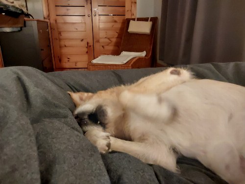 Test18
